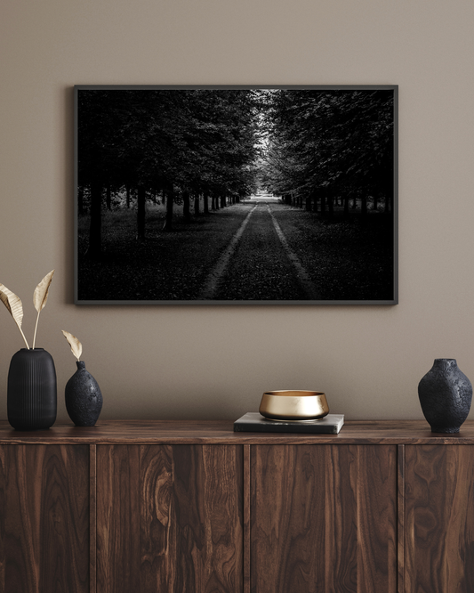 Forest Roads at the Veluwe