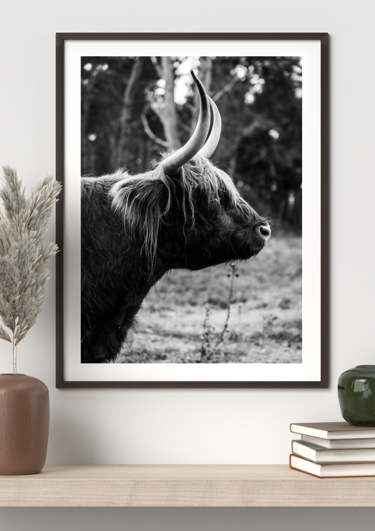 Sideview Scottish Highlander