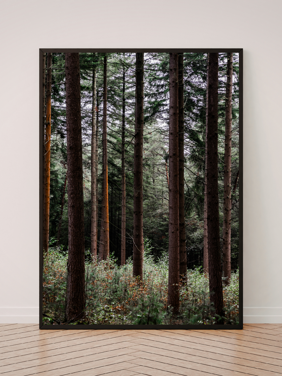 Forest Vibes