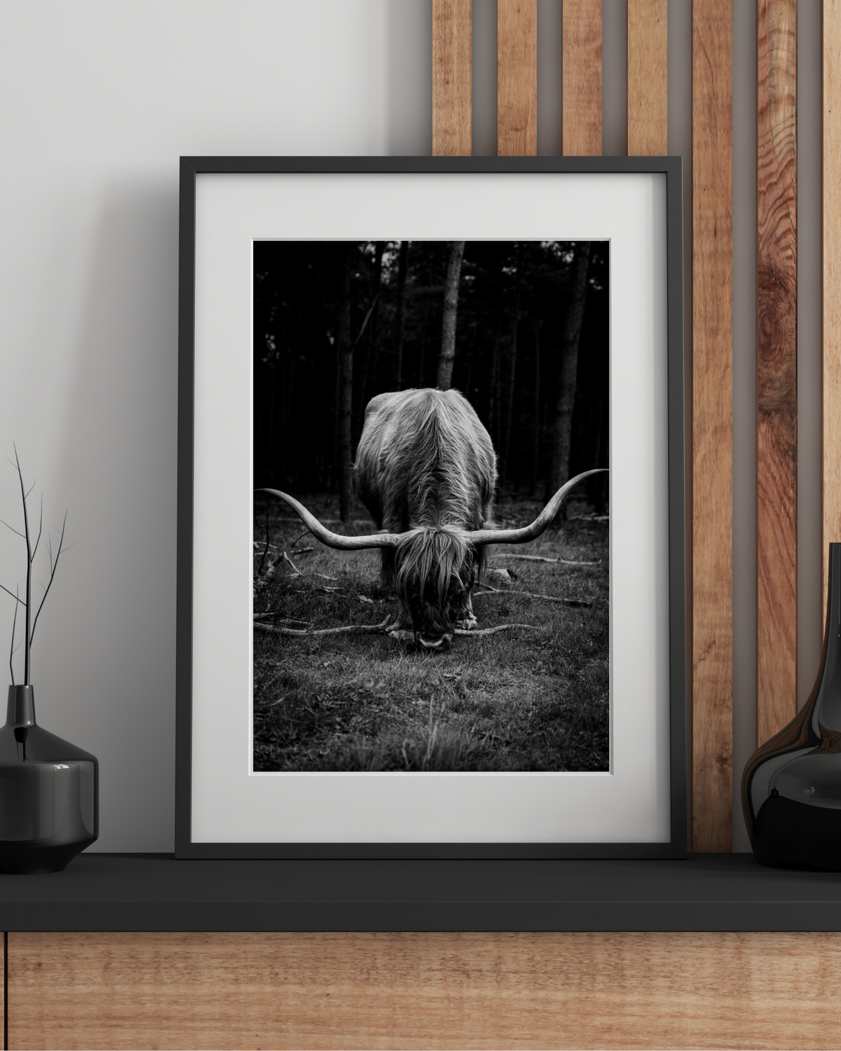 Scottish Highlander in bnw
