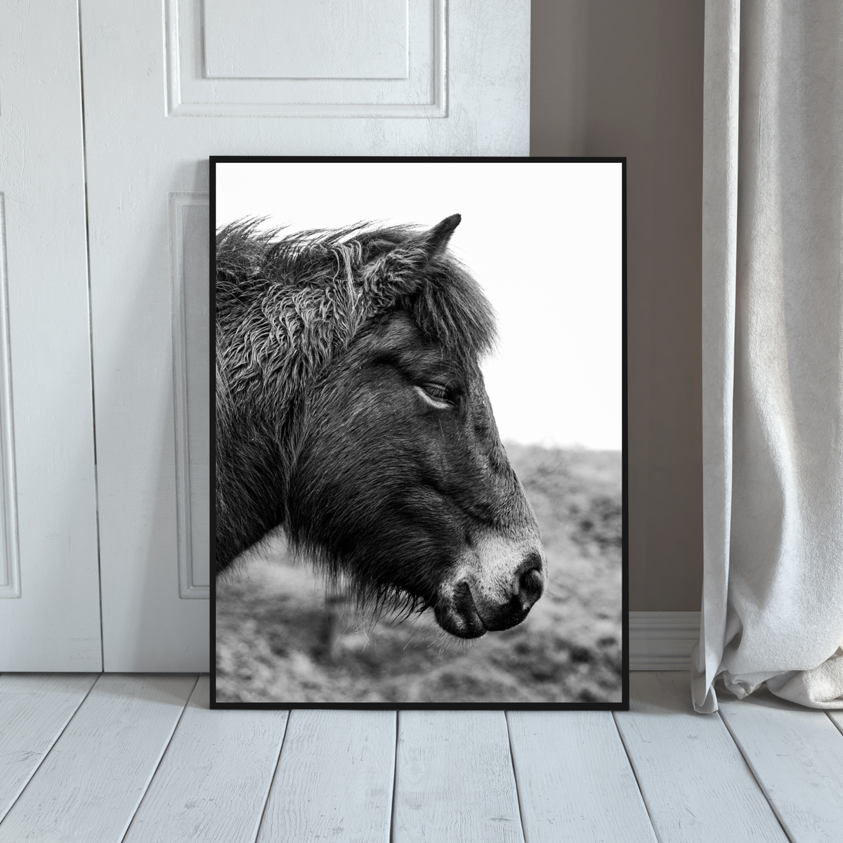 Wild Horse in the Netherlands