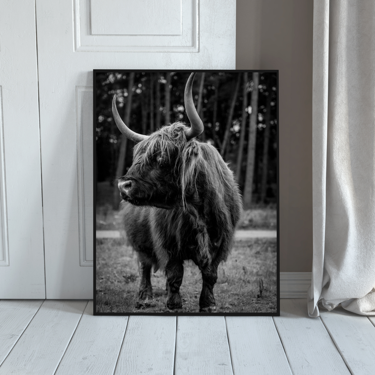 Majestic Scottish Highlander