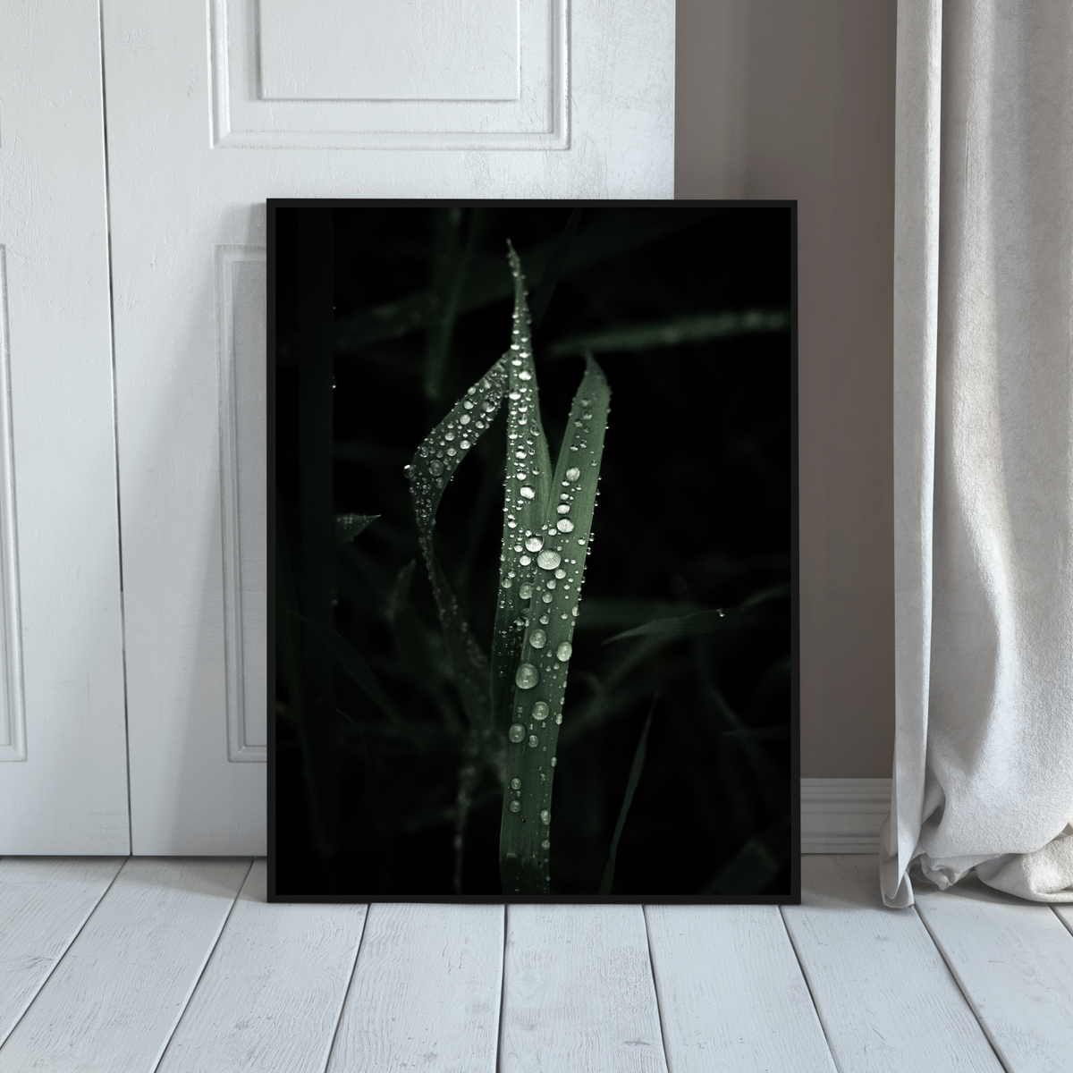 Droplets on the leaves