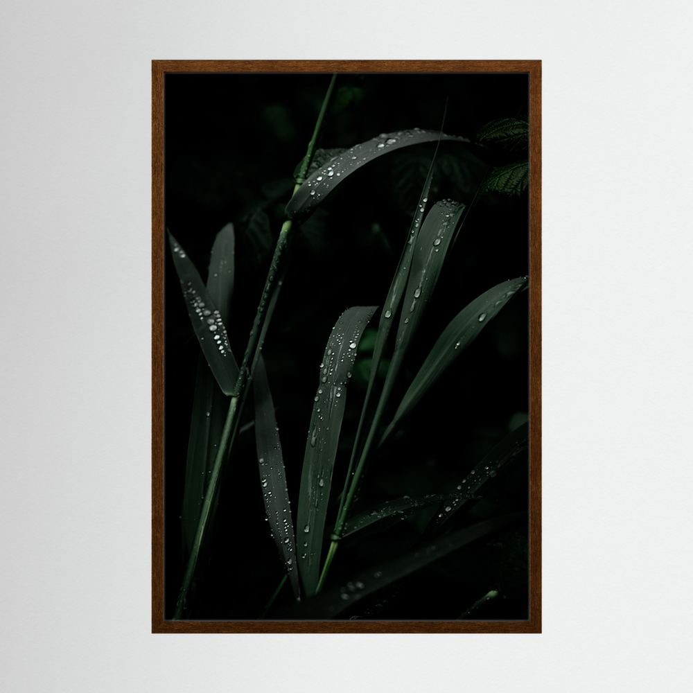 After the Rainfall