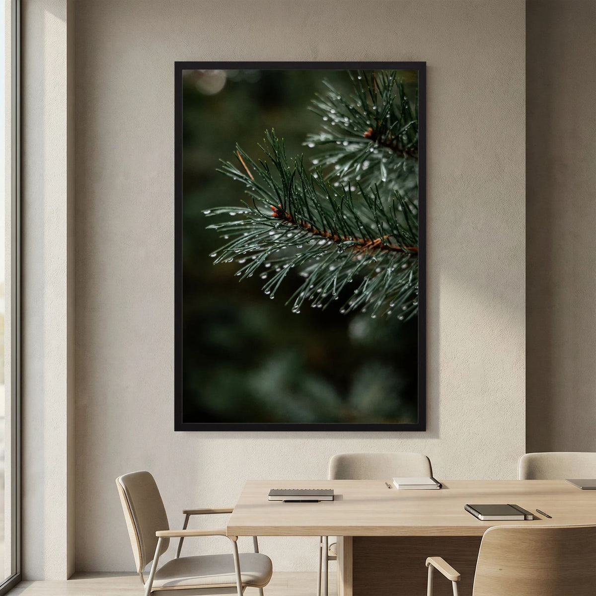 Droplets on the conifers