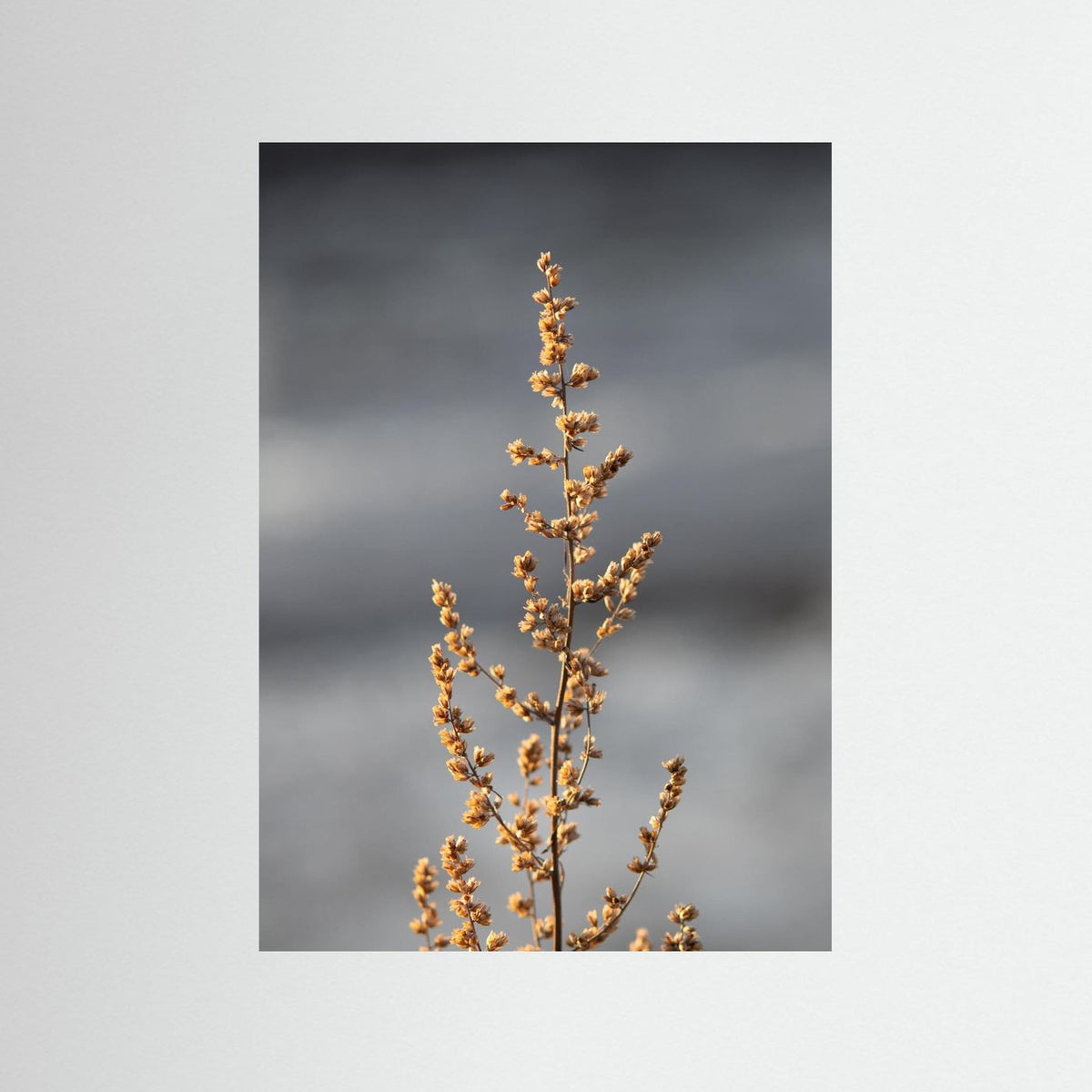 Herfst in bloemenland