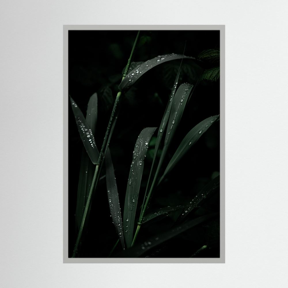 After the Rainfall