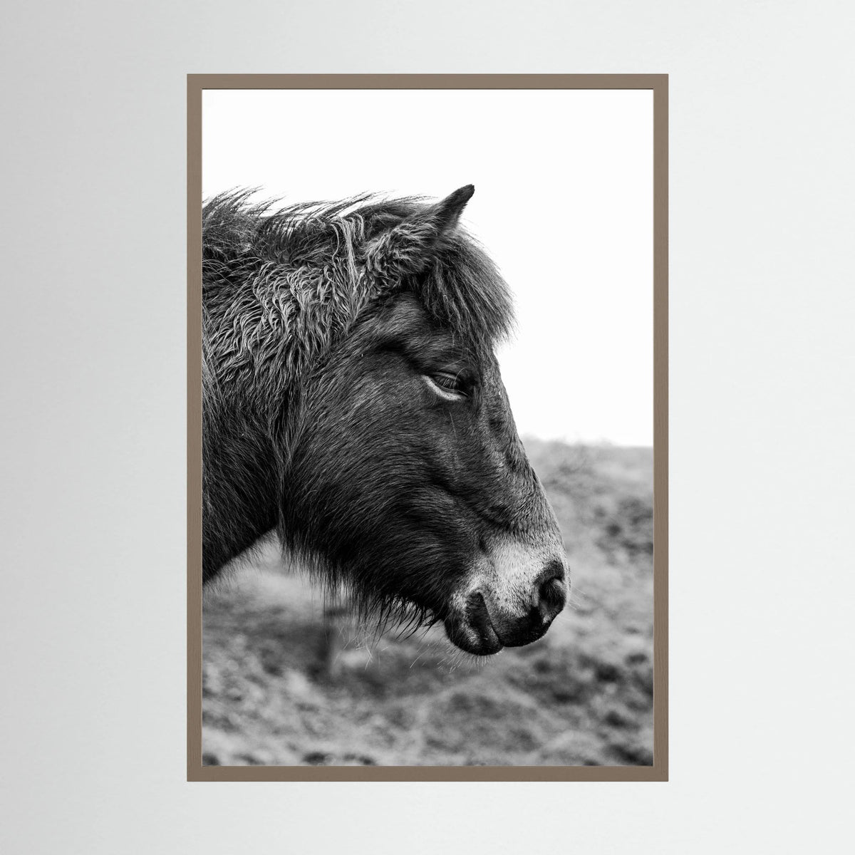 Horse - side close-up.