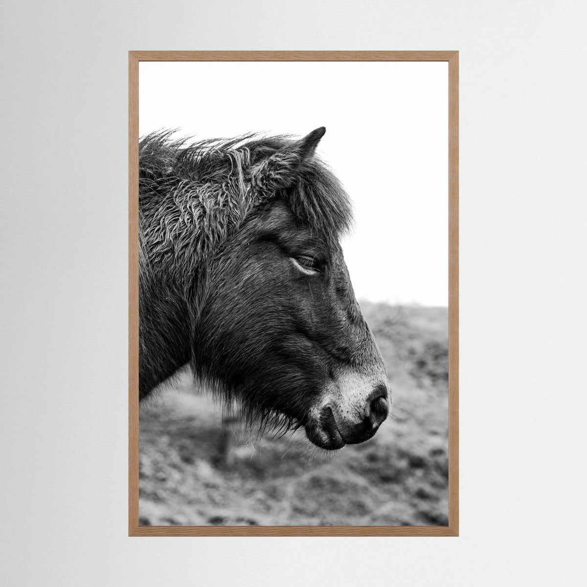 Horse - side close-up.