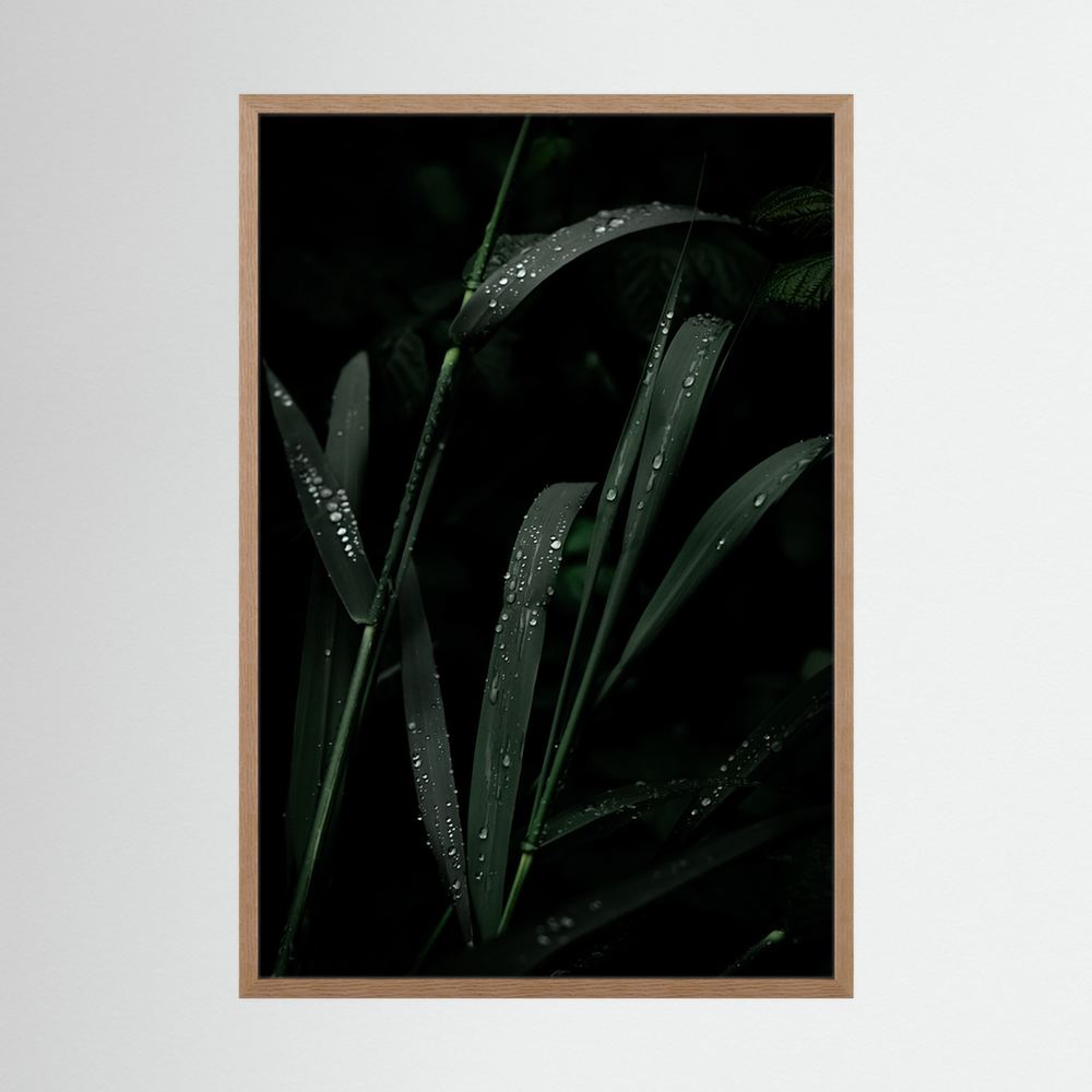 After the Rainfall
