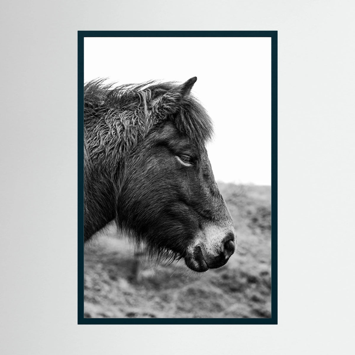 Horse - side close-up.