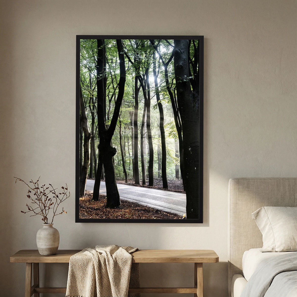 Sunrays in the woods at the Veluwe