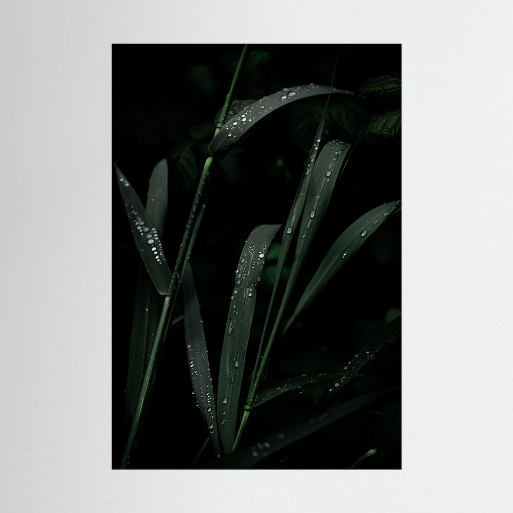 After the Rainfall