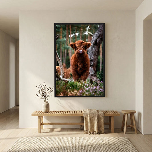 Little Scottish Highland Cow