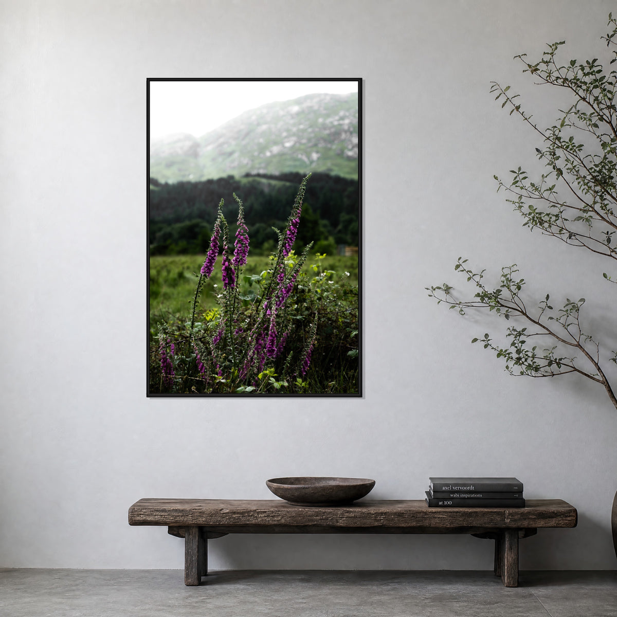 Foxgloves in the Highlands of Scotland